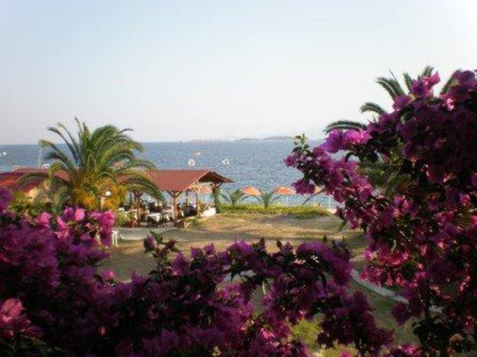 View Hotel Porto Kalliali