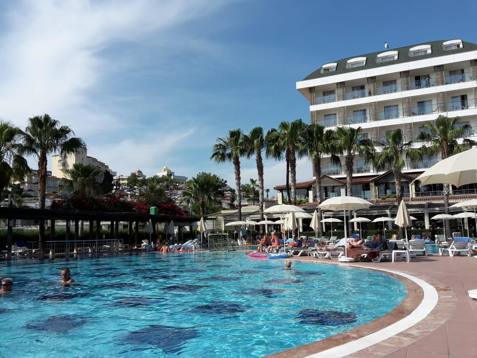 Blick von der Liege Trendy Palm Beach (Adults Only, 16+)