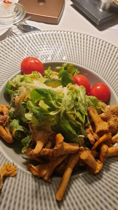 Gastro Obermühle Alpin SPA Resort