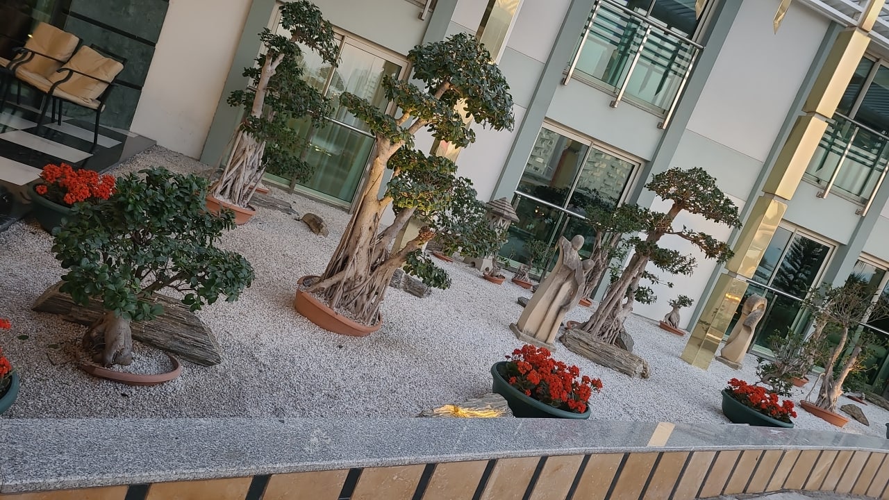 Gartenanlage Hotel Delphin Imperial