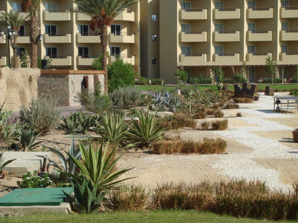 Ogród Amwaj Beach Club Abu Soma Resort