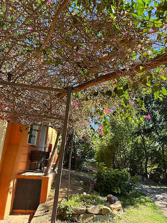 Zimmer Apanemo  Hotel