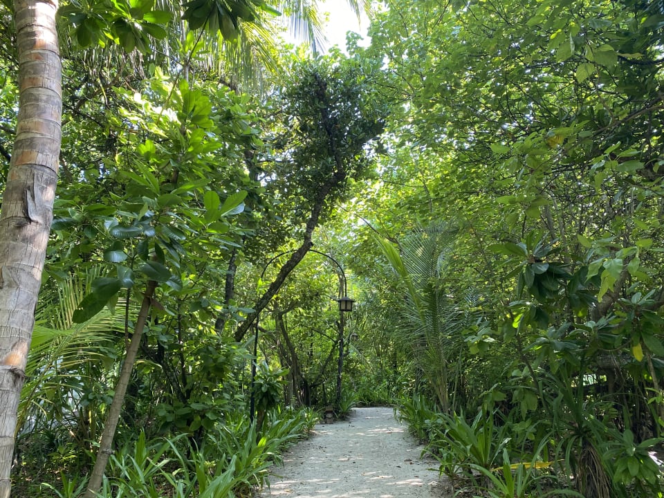Gartenanlage NH Collection Maldives Reethi Resort