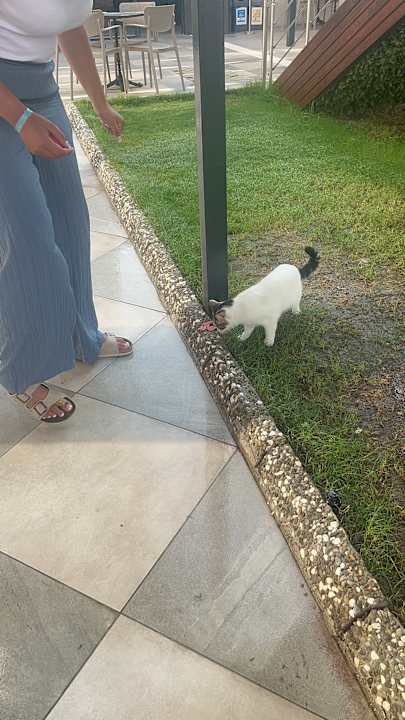 Pool Grand Seker Hotel