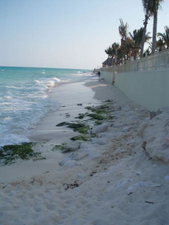 Strand Hotel Riu Palace Riviera Maya