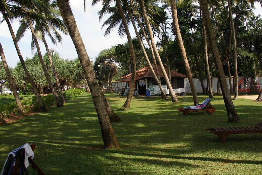 Palmenwiese Thaala Bentota