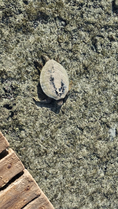 Strand Casa Mare Resort