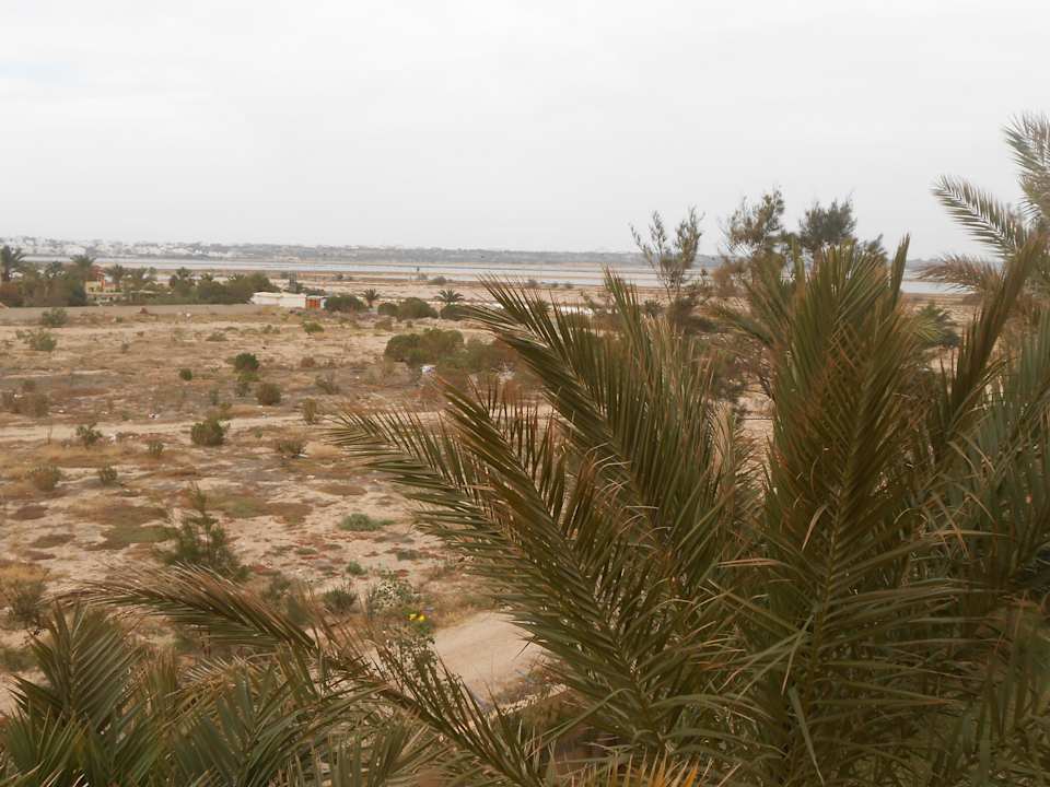 Blick aus unserem Zimmer Hotel Rosa Beach