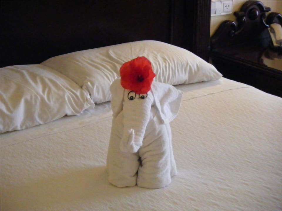 Hotel RIU Palace Riviera Maya Hotel Riu Palace Riviera Maya