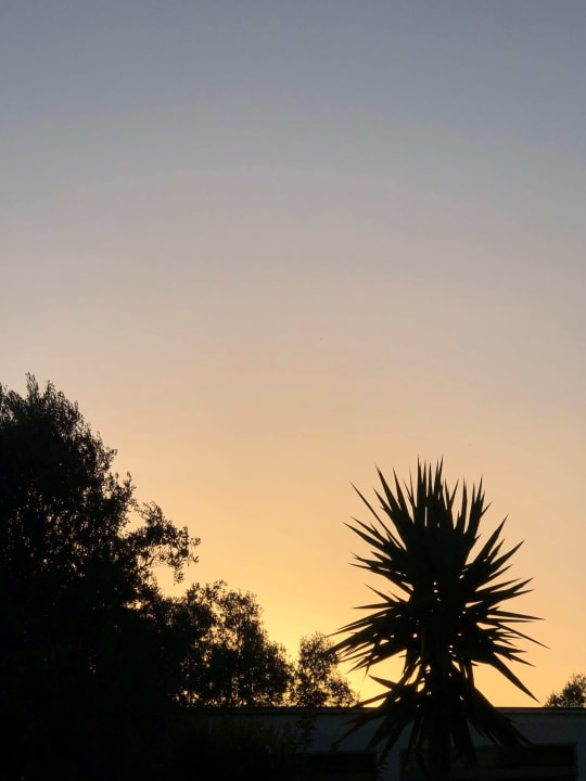 Ausblick Saint George Resort