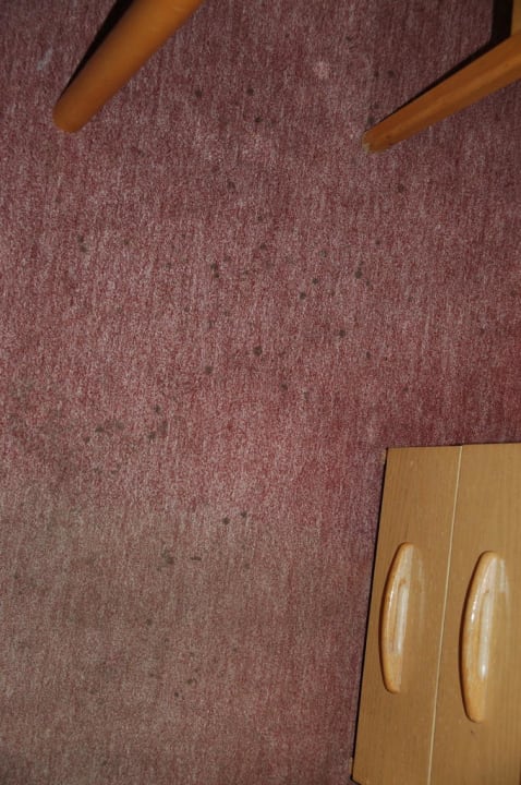 Flecken und Laufspuren im Teppich Hotel Zur Kripp