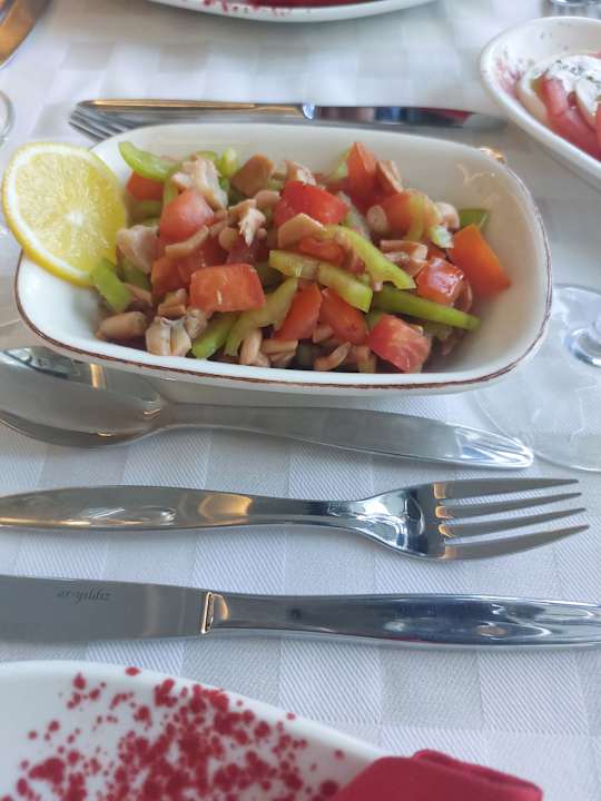 Gastro Seashell Vega