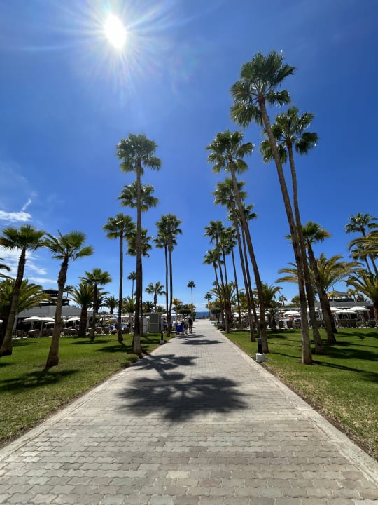Gartenanlage Hotel Riu Palace Tenerife