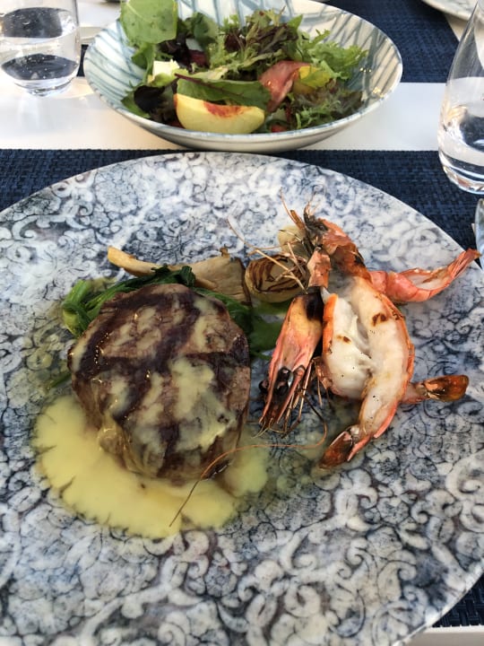 Gastro Acanthus Cennet Barut Collection