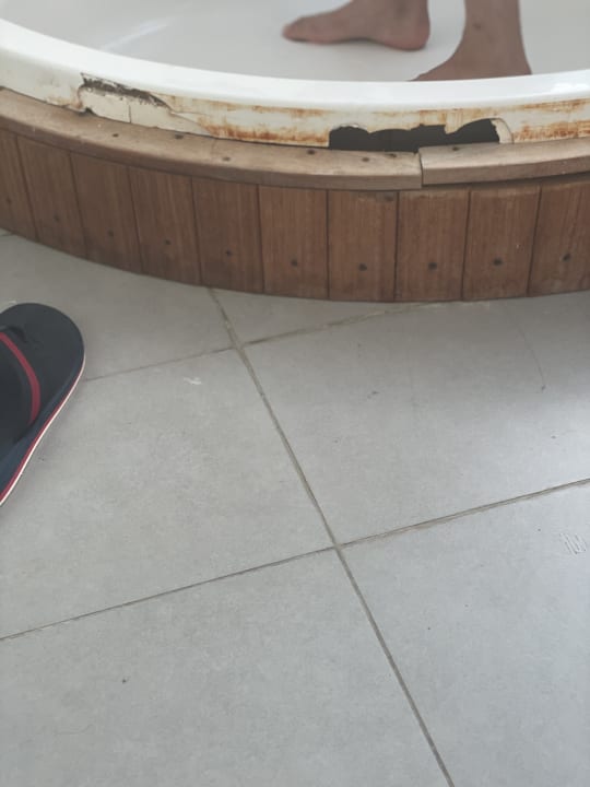 Zimmer Gold Island Selected