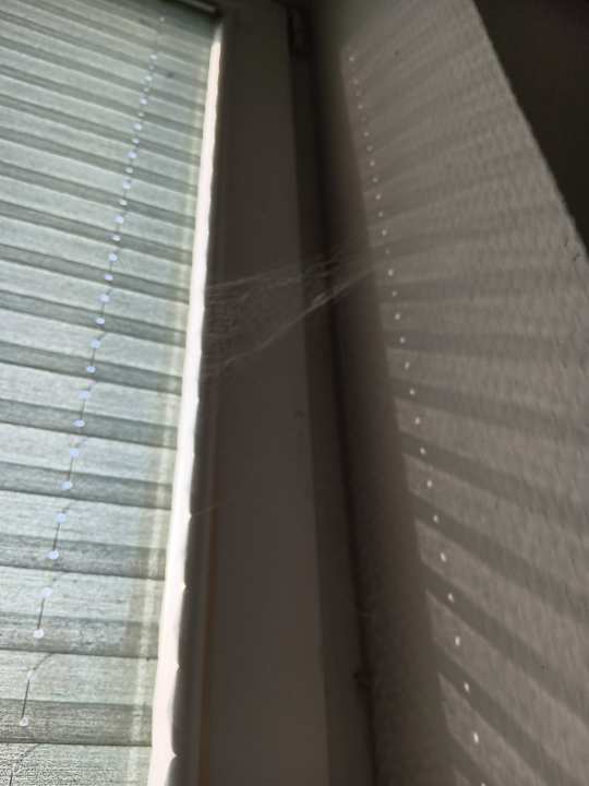 Zimmer Hotel Acamed Resort