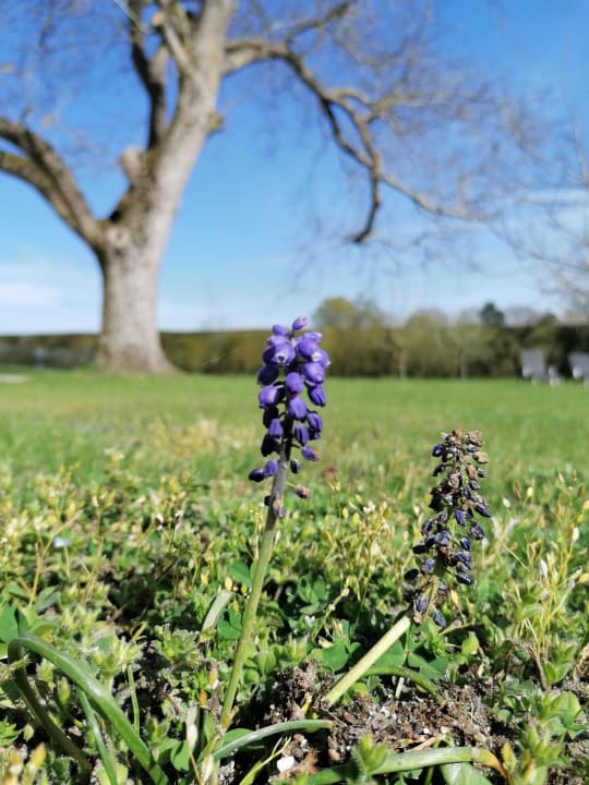 Gartenanlage Landhotel Zur Jurahöhe / Juraschlössl