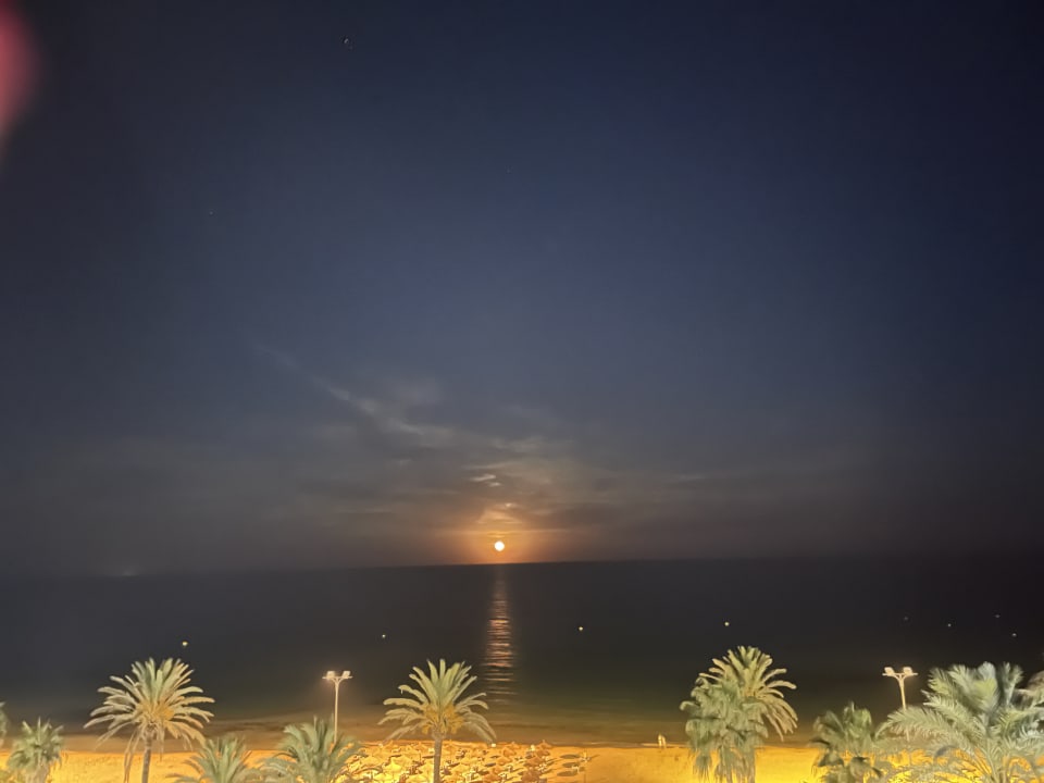 Zimmer CM Playa del Moro