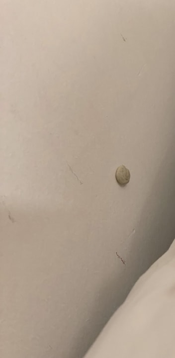 Zimmer Skalion Hotel