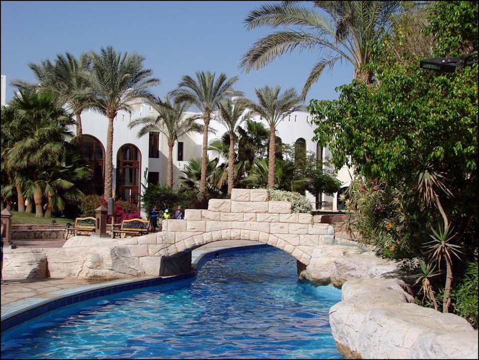 Basen przy hotelu Hotel El Faraana Reef Resort