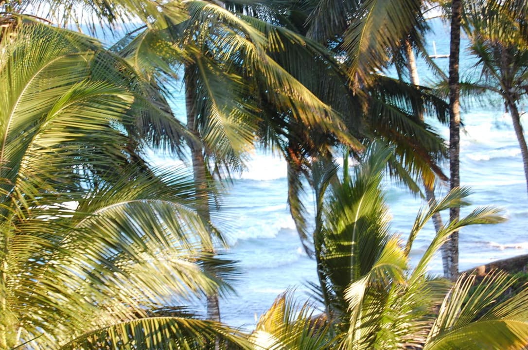Das Meer bei Flut Hotel Papillon Lagoon Reef