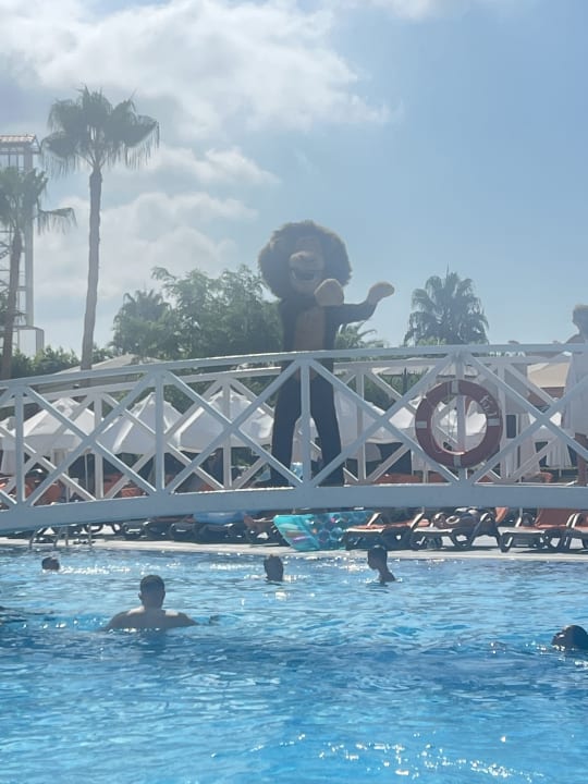 Pool Side Mare Resort & Spa