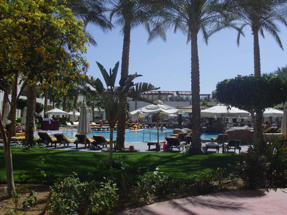 Poolblick Xperience St. George Homestay