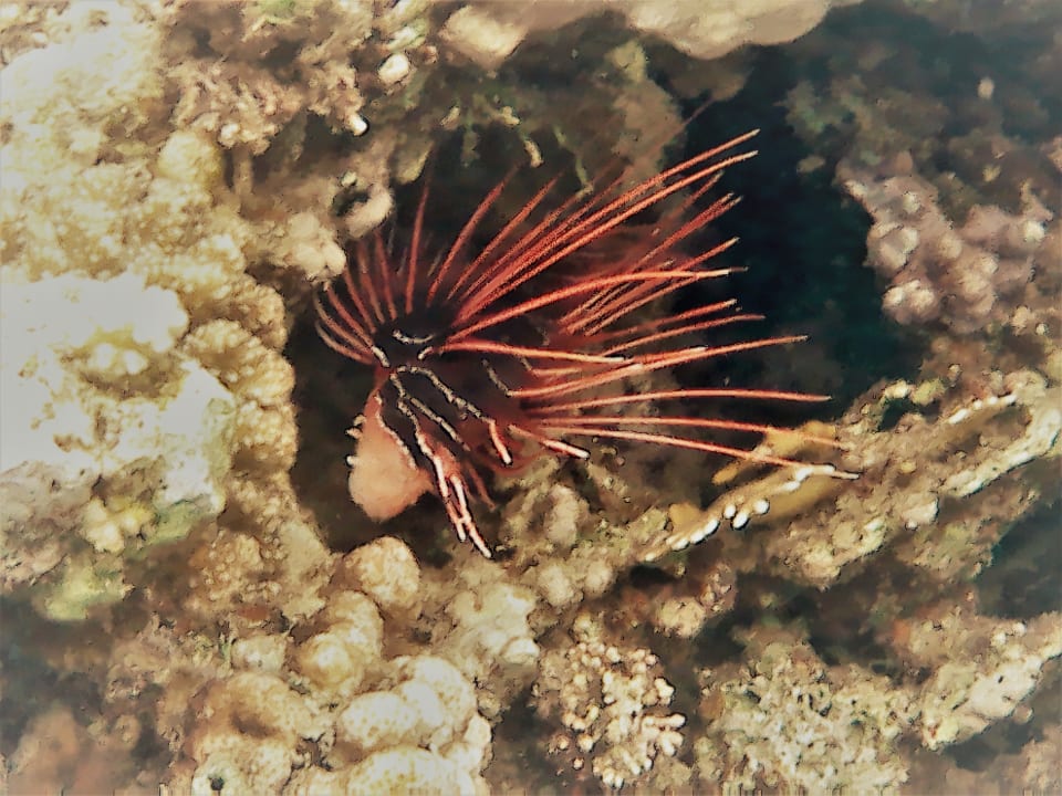Strand Brayka Bay Resort