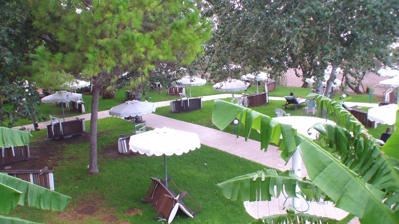 Immer genügend Liegen frei Hotel Calypso Beach