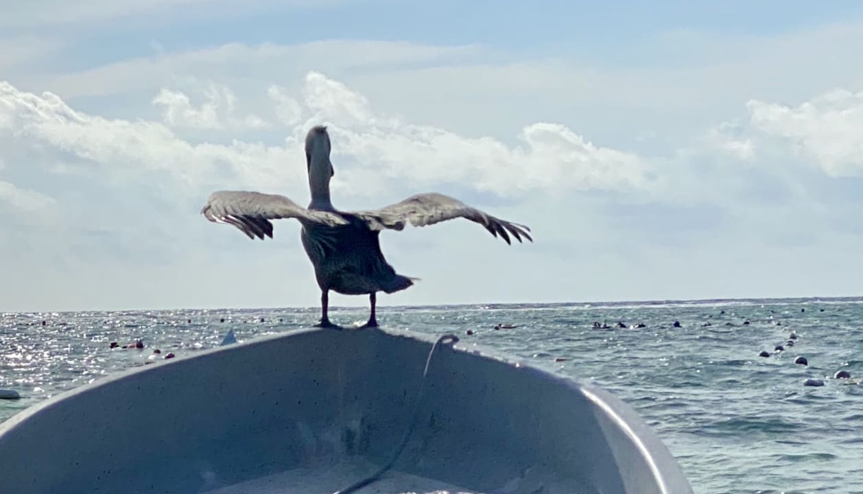 Sonstiges Akumal Bay Beach & Wellness Resort