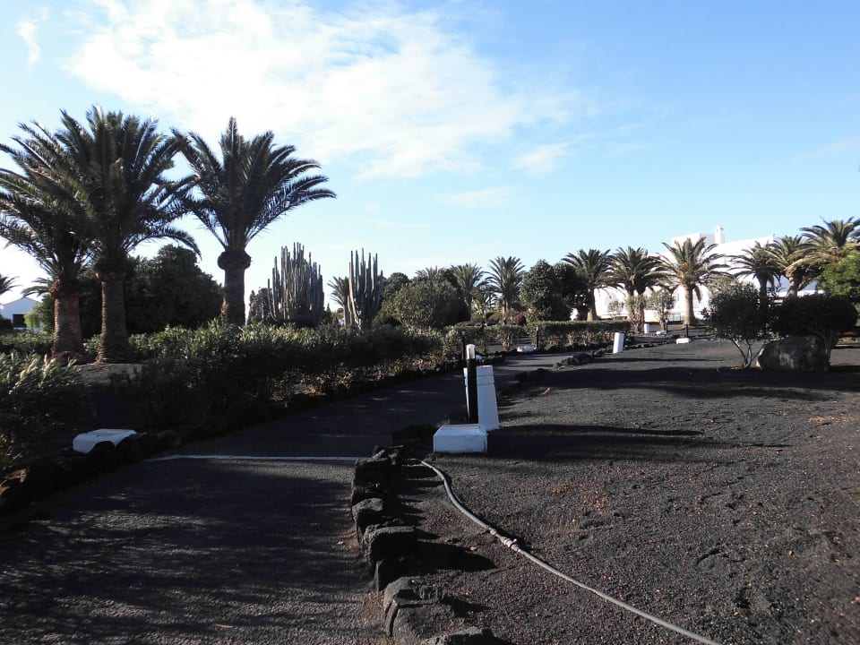 Vialetti Relaxia Olivina