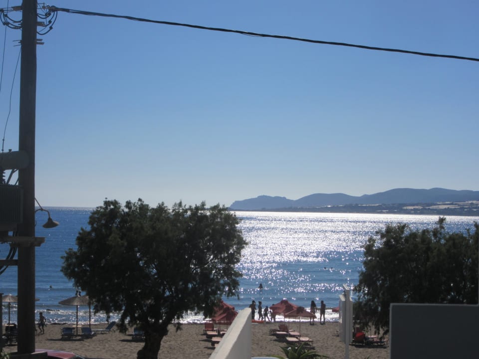 Ausblick Hotel Pal Beach