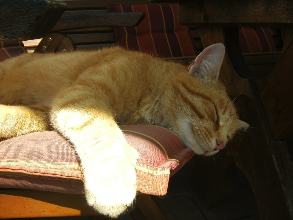 Gartenanlage Biobauernhof Schranbachhof