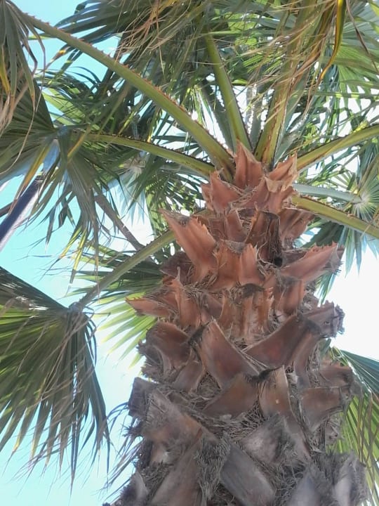 Super Wetter Sandy Beach Resort