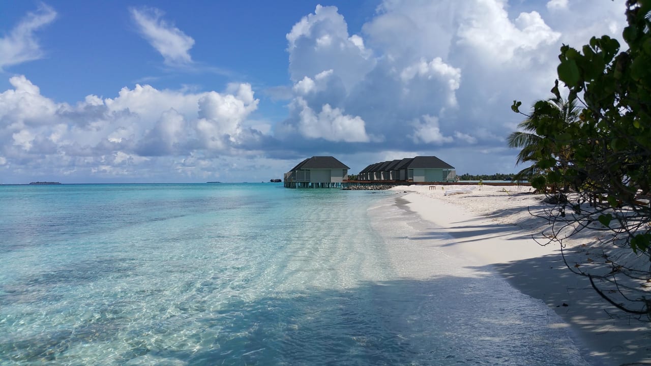 Strand Wasserbungi  Summer Island Maldives