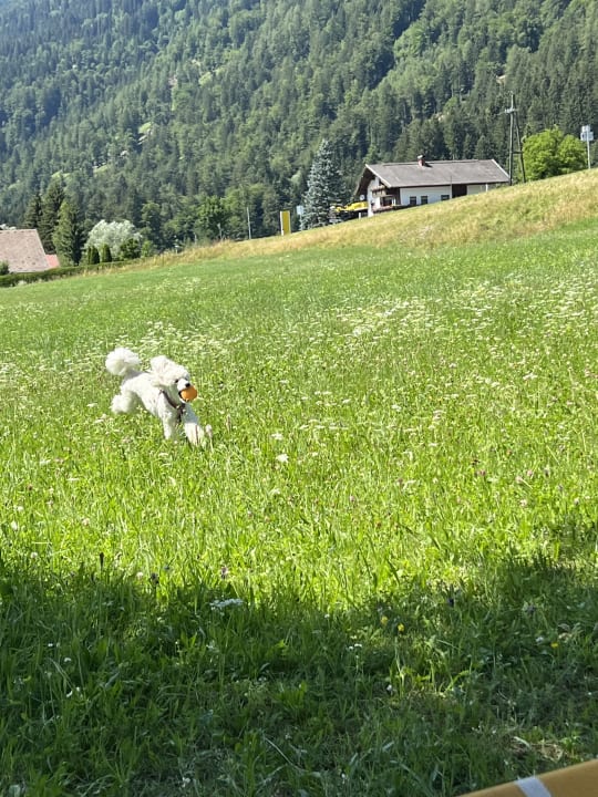 Gartenanlage Landhof zum Waidegger Wirt