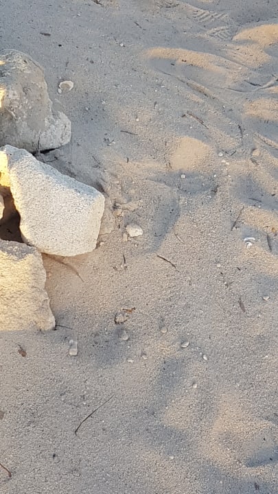 Strand Dreams Dominicus La Romana