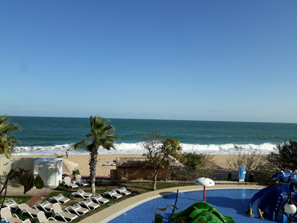 Strand Sentido Marea