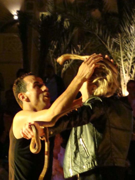 Kobra Show Pickalbatros Palace Resort
