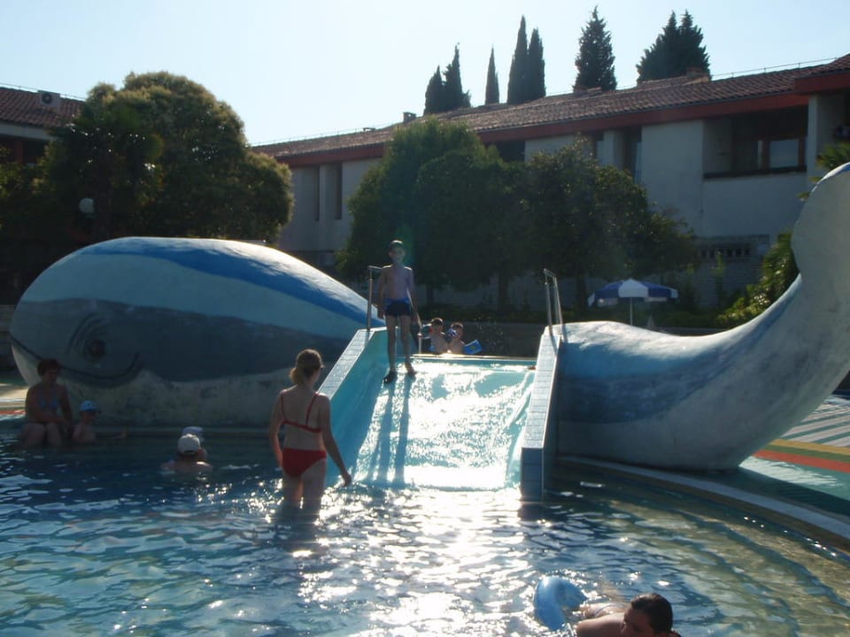 Aussenpool Hotel Histrion