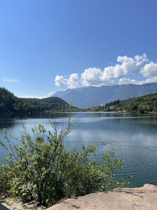 Ausblick Gartenhotel Moser