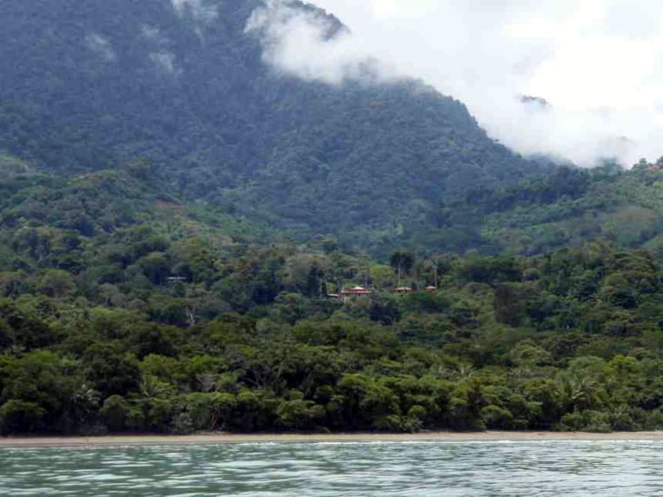 View from the ocean Many's House-La Joya de Ballena