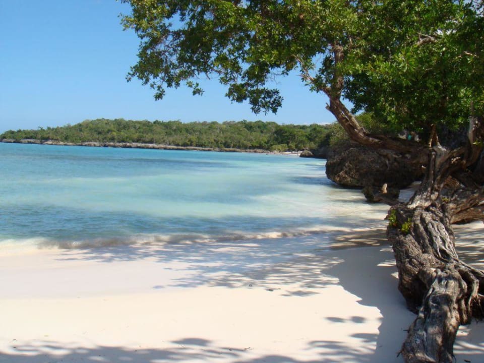 Coral de Coronita Paradisus Rio de Oro Resort & Spa - Adults only