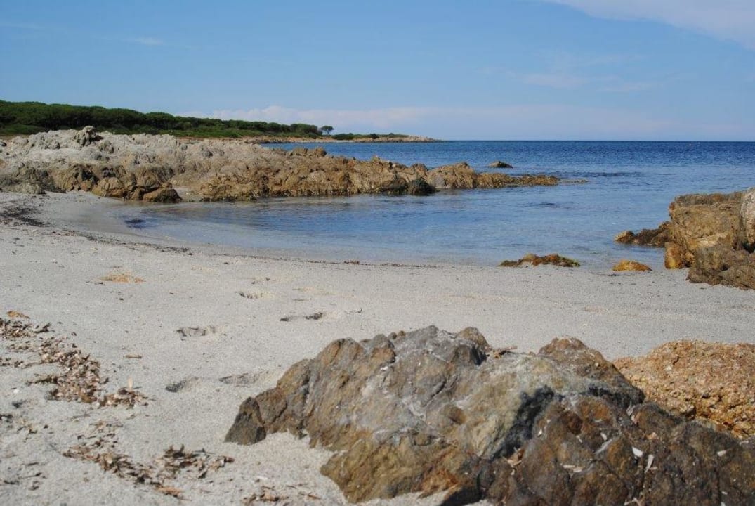 Mare Residence La Pineta