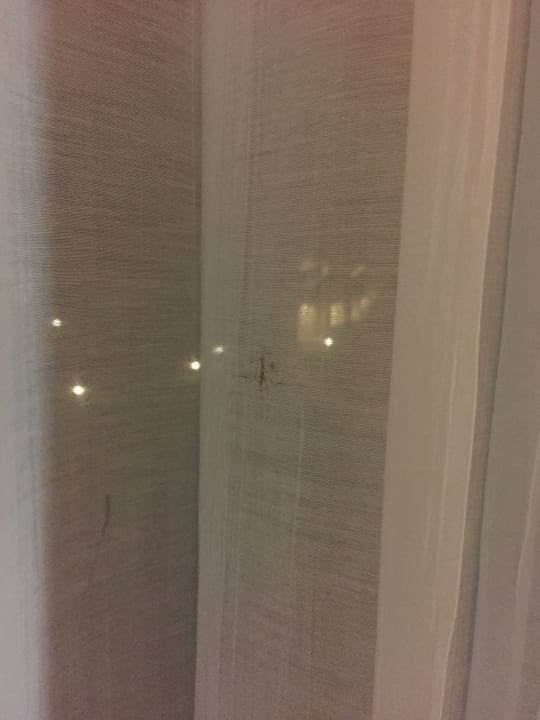 Zimmer Dreams La Romana Resort & Spa