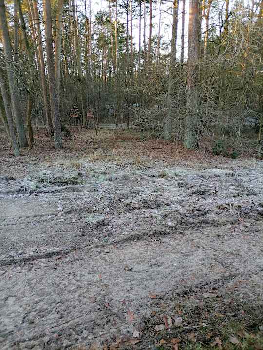 Ausblick Heidehotel Soltauer Hof
