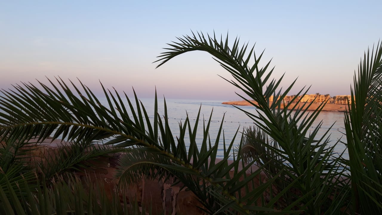 Ausblick Steigenberger Resort Alaya Marsa Alam - Red Sea - Adults only