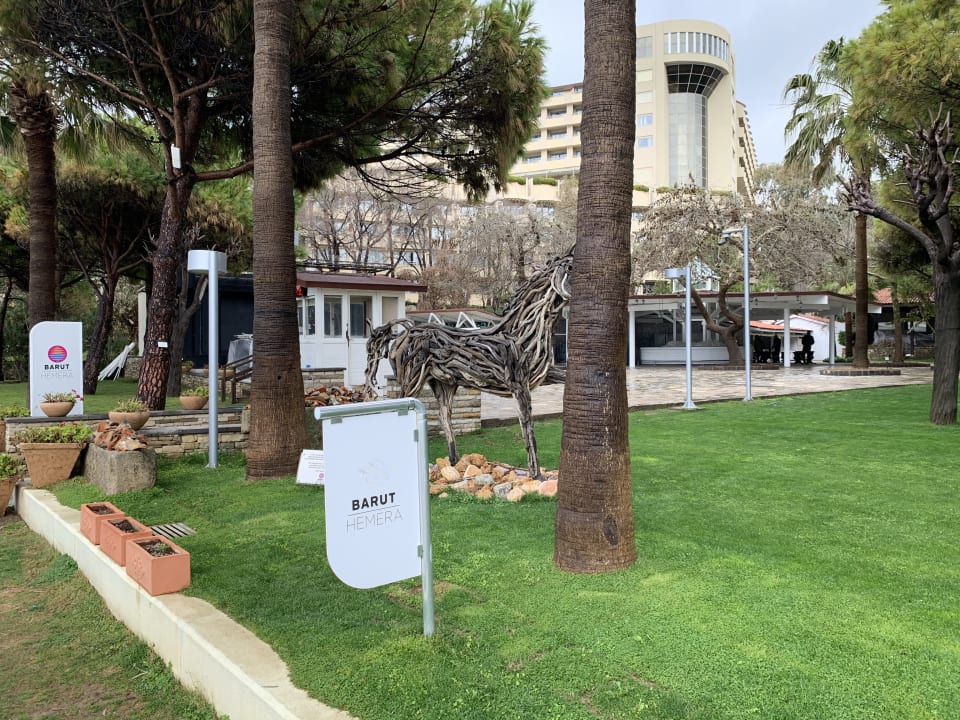 Gartenanlage Arum Barut Collection