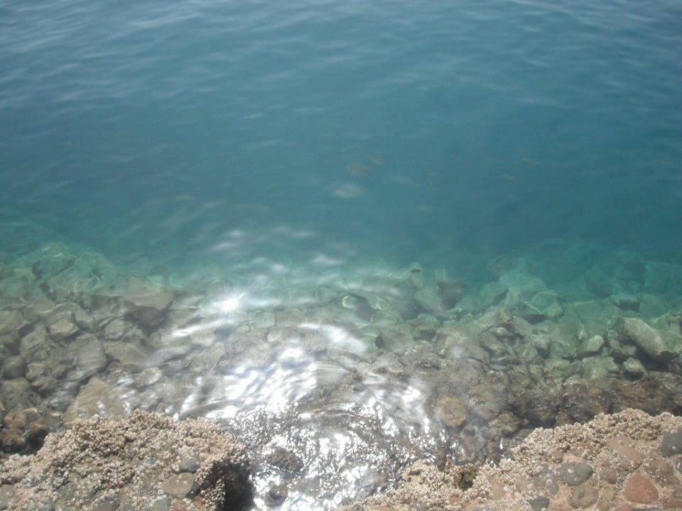 The sea SUNRISE Holidays Resort (Adults Only)