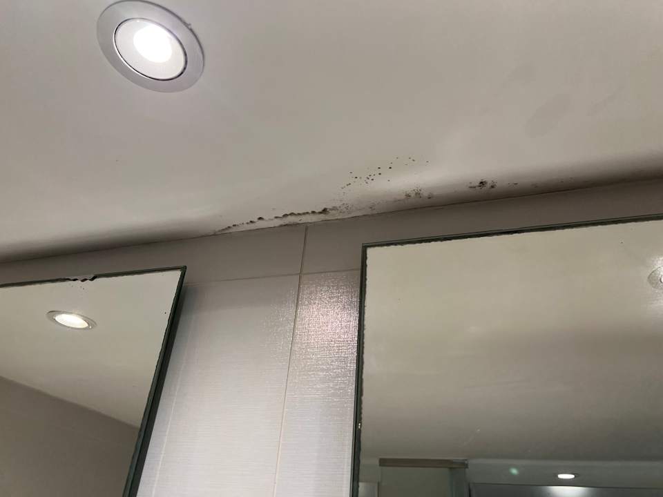 Zimmer Iberostar Waves Playa de Muro